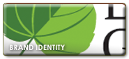 Brand Identity