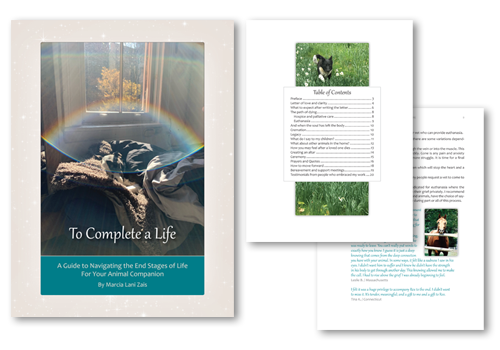 White paper design services